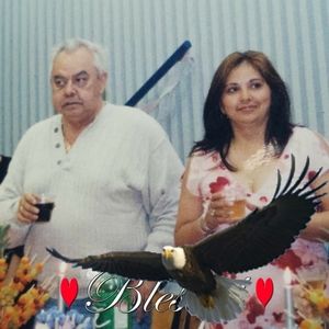 Meet your Posher, Marilyn